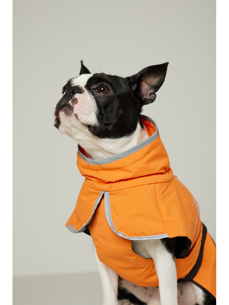 Hundejakke 7502611_299_Jean Paul_Hundedekke_A22 (3)_Hundedekken 299_Hundejakke 299.jpg_