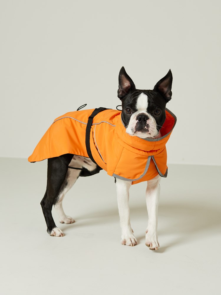 Hundejakke 7502611_299_Jean Paul_Hundedekke_A22 (5)_Hundedekken 299_Hundejakke 299.jpg_